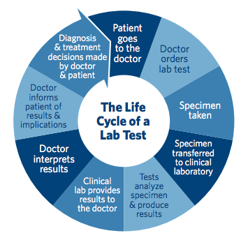 LifeCycleOfALabTest